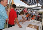 Bazaar Basisschool st. Willibrordus Deurningen 25-6-2010